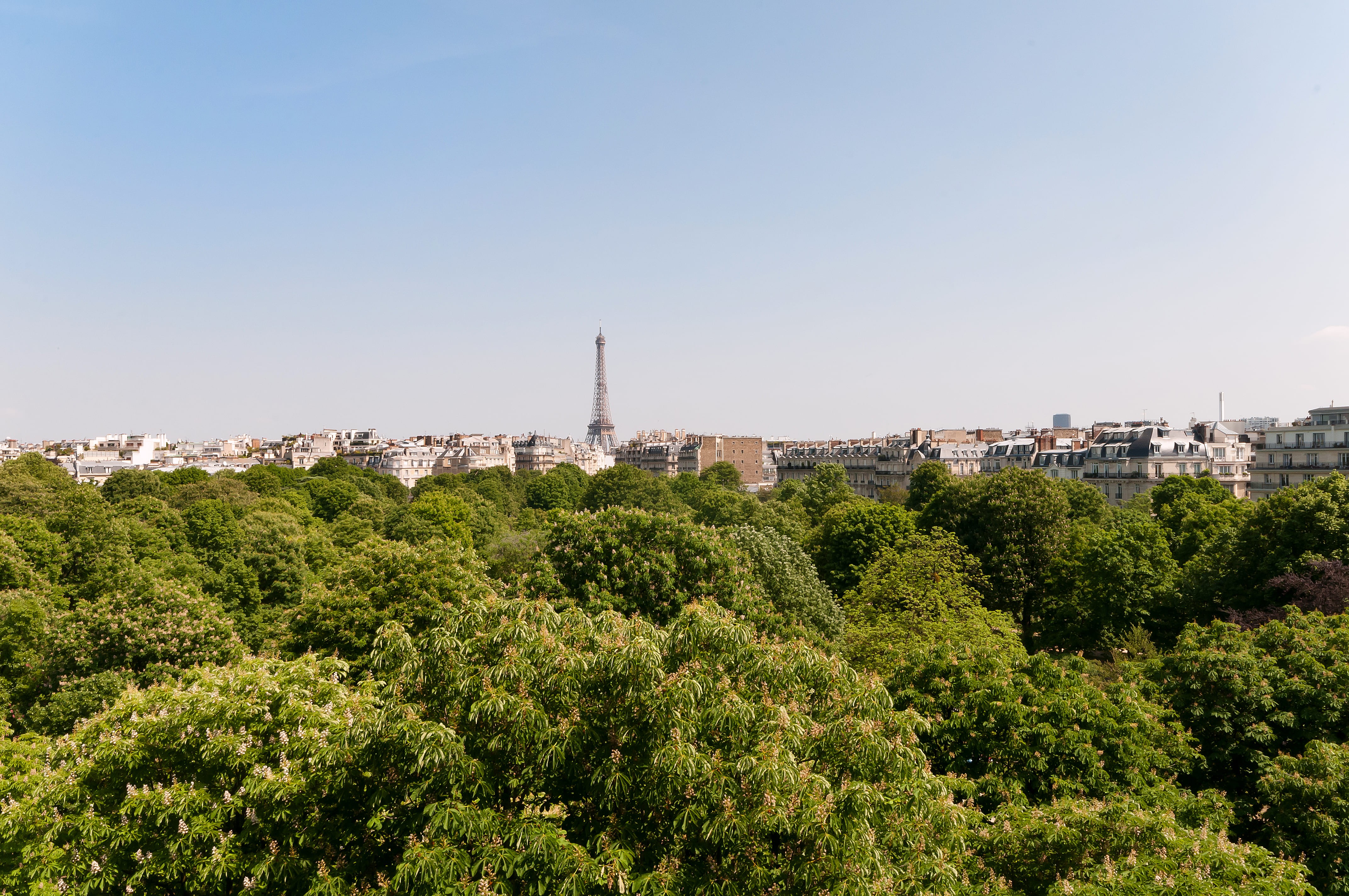 appartement-vue-tour-eiffel-luxe-paris
