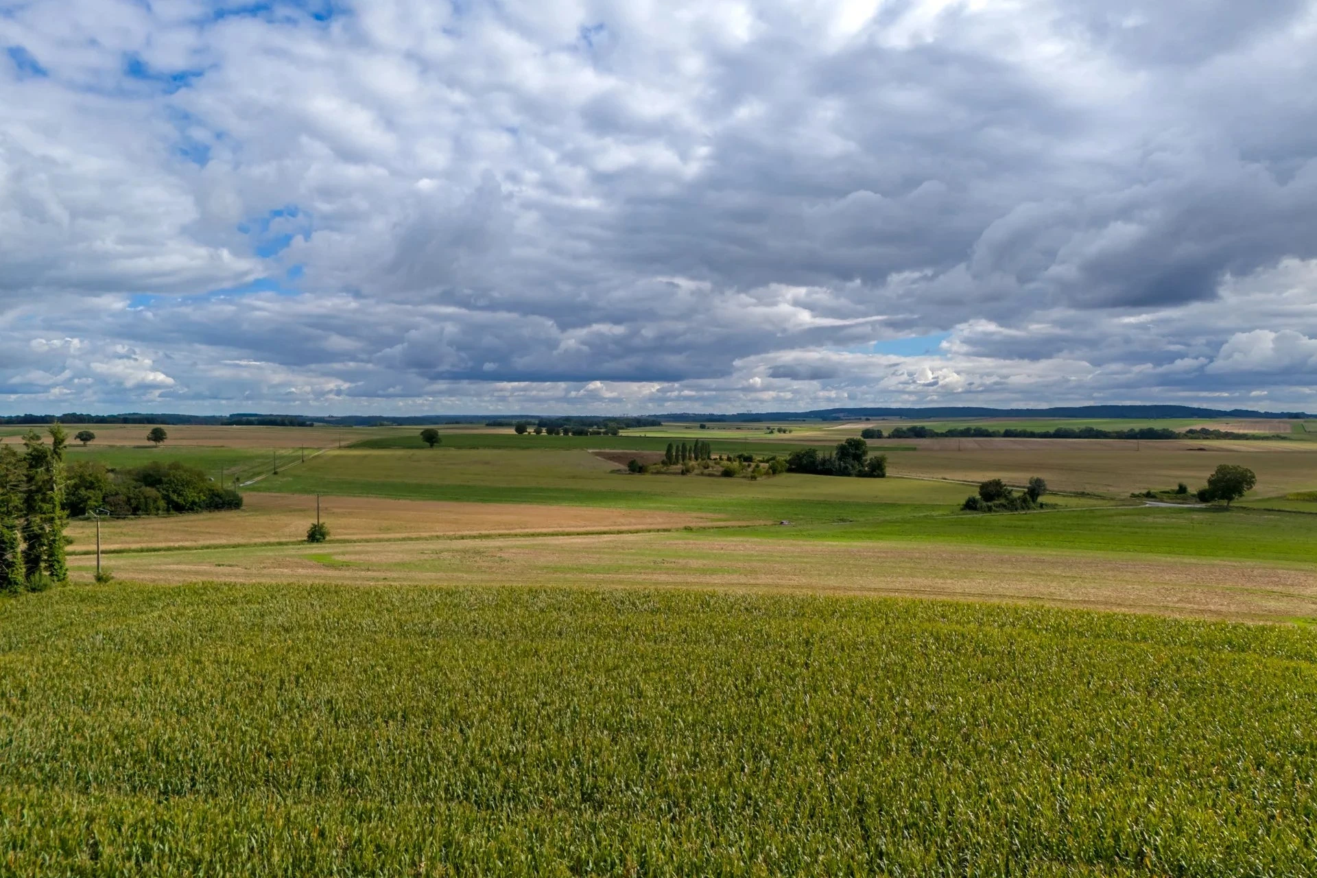 Image du bien : Belle propriété de deux maisons au coeur du Vexin 19