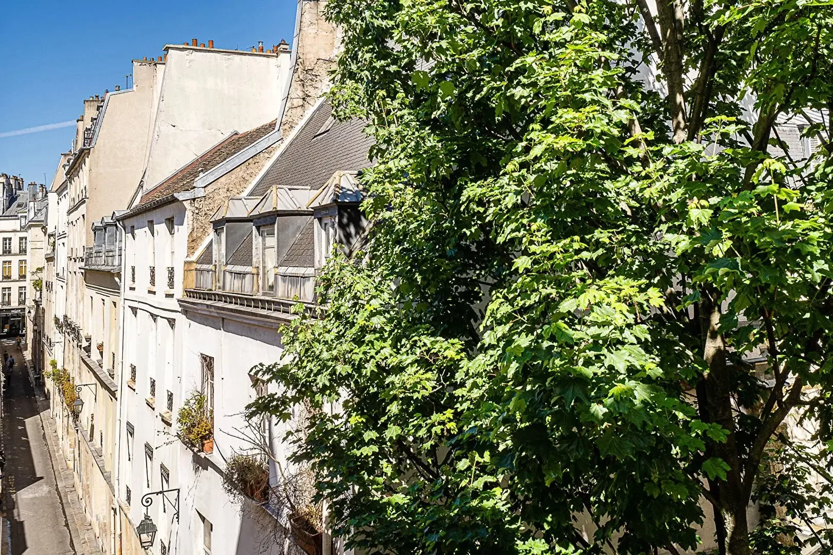 Image du bien : En plein coeur de Saint-Germain-des-Prés 2