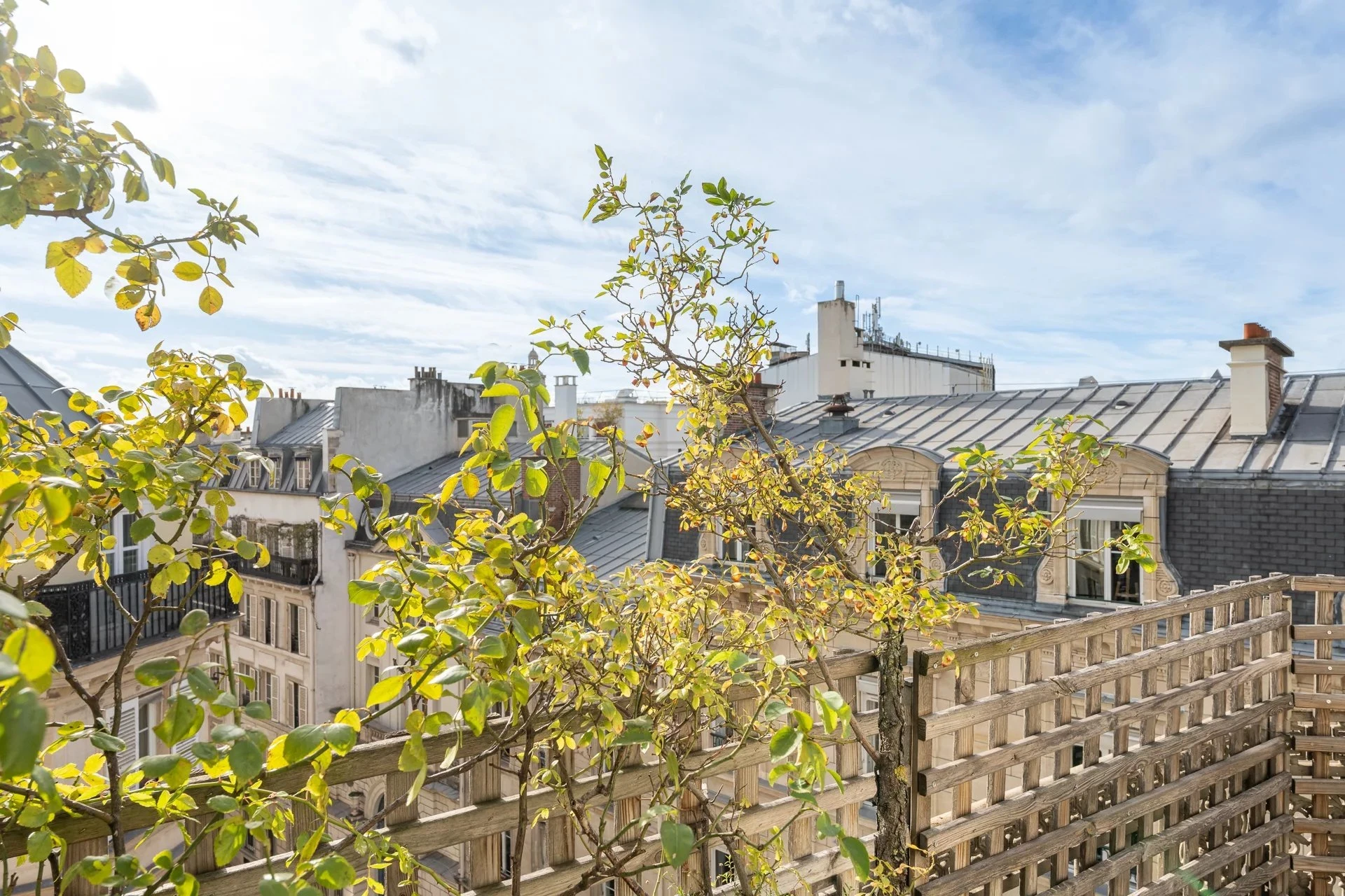 Picture of property: The feel of a house 9