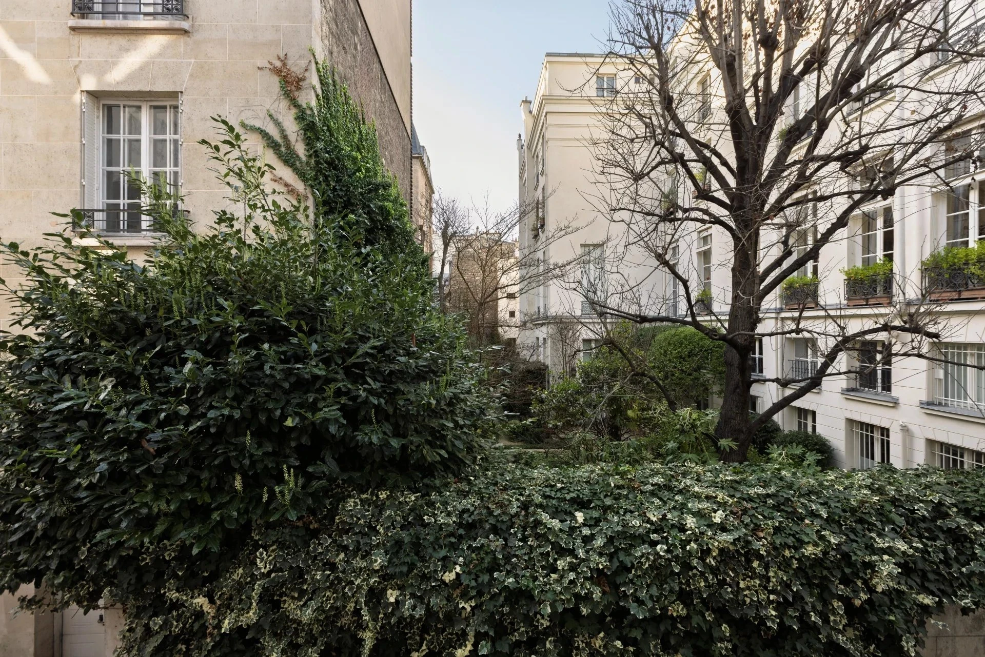 Picture of property:  2