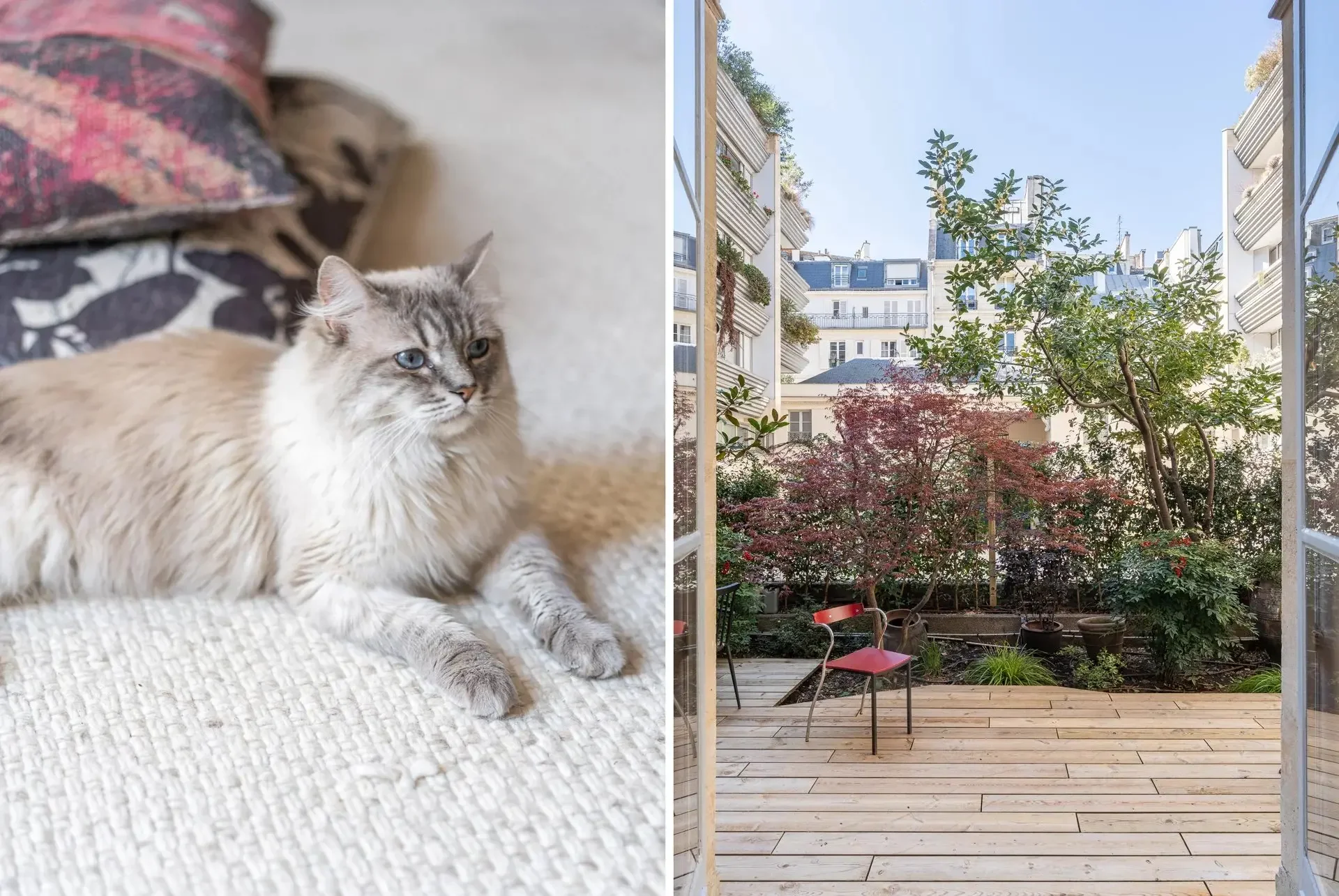 Image du bien : Appartement lumineux et ensoleillé avec jardin 13