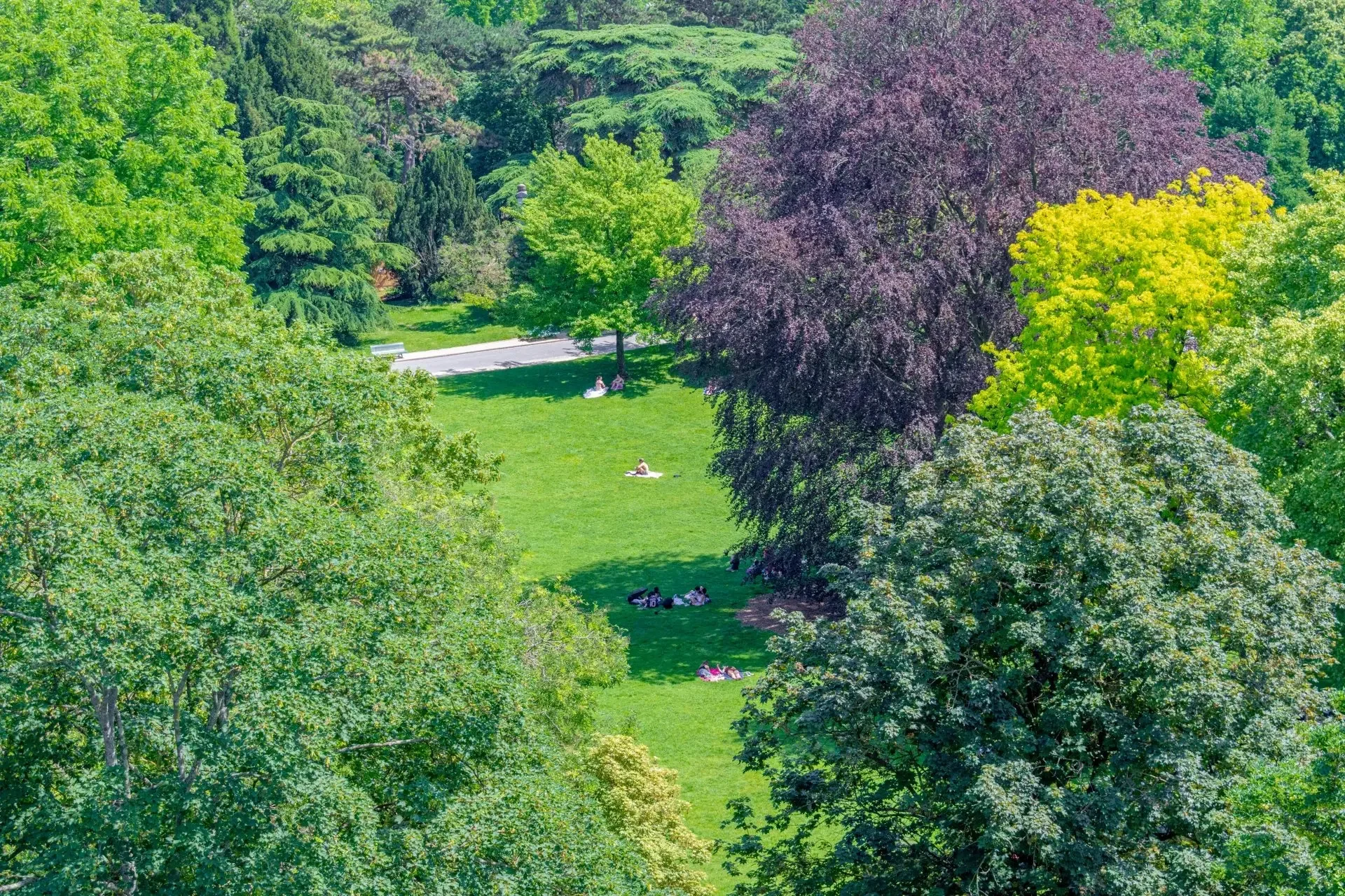 Image du bien : Vue monuments parisiens 9