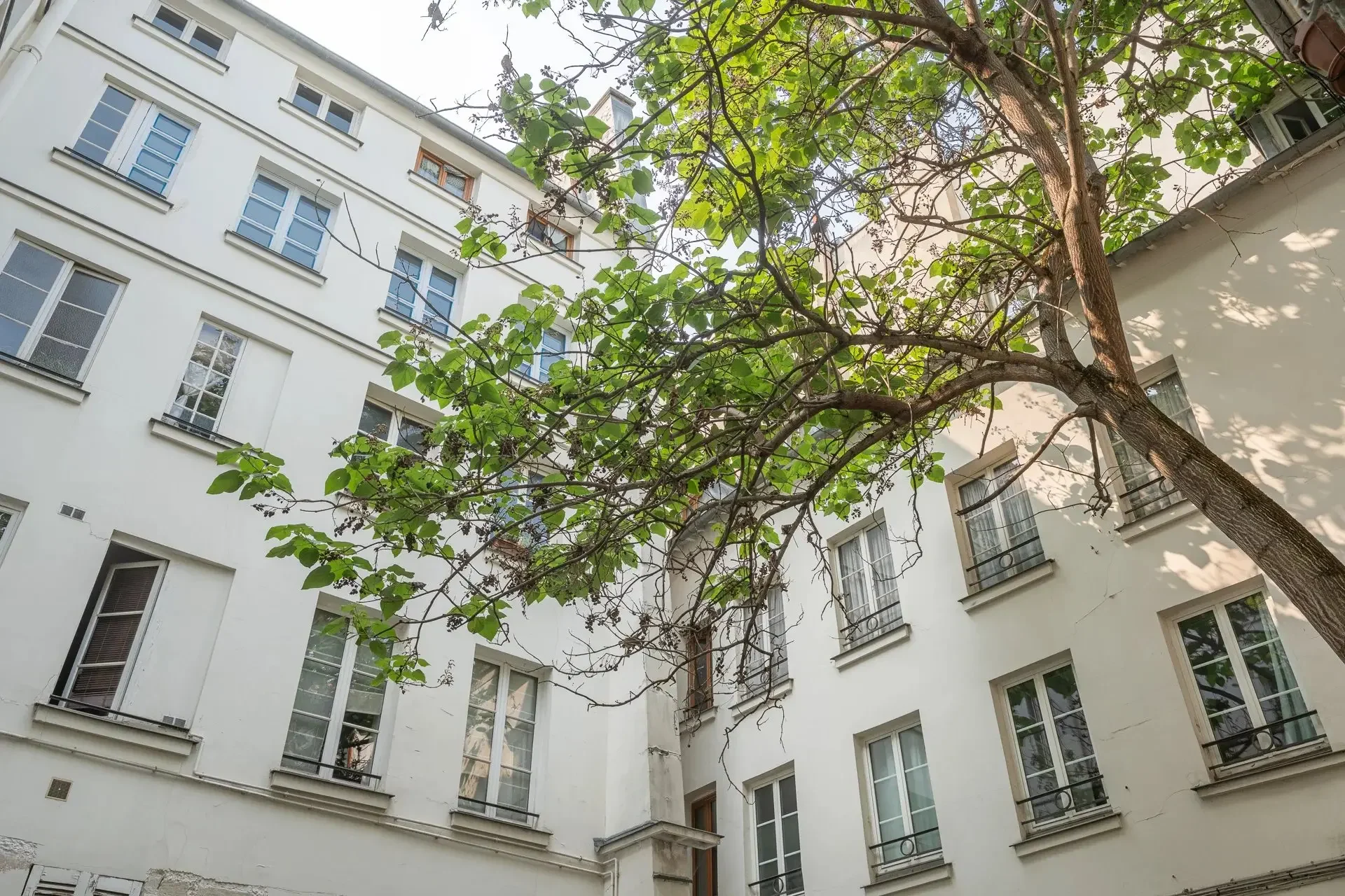 Image du bien : Duplex beaux volumes vue dégagée sur jardin 13