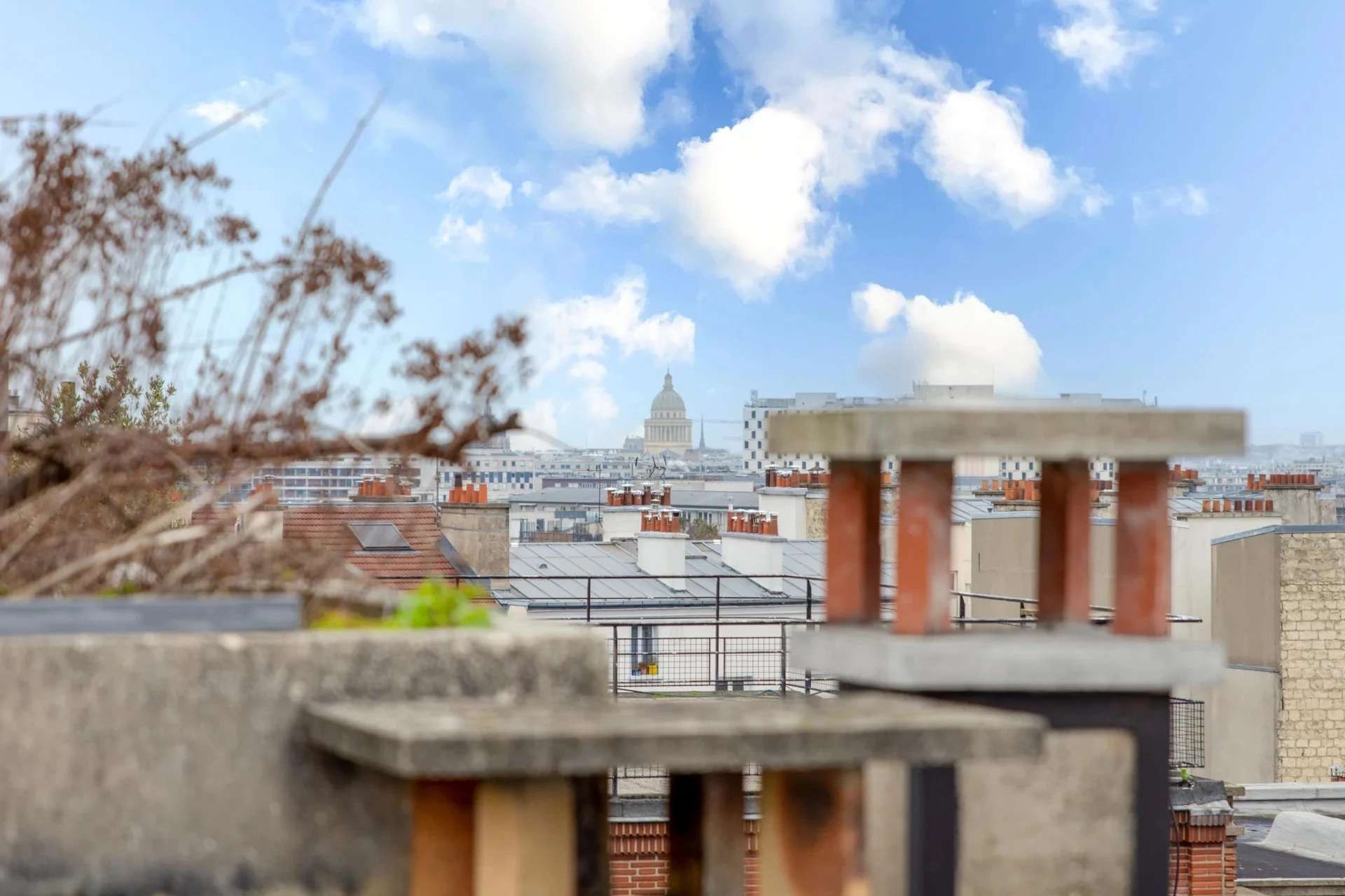 Appartement-luxe-rooftop-paris