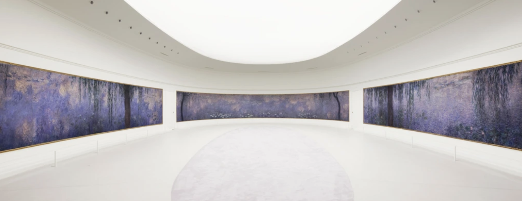 Photo de l'ensemble mural des Nymphéas, une fresque de Claude Monet exposée au musée de l'Orangerie