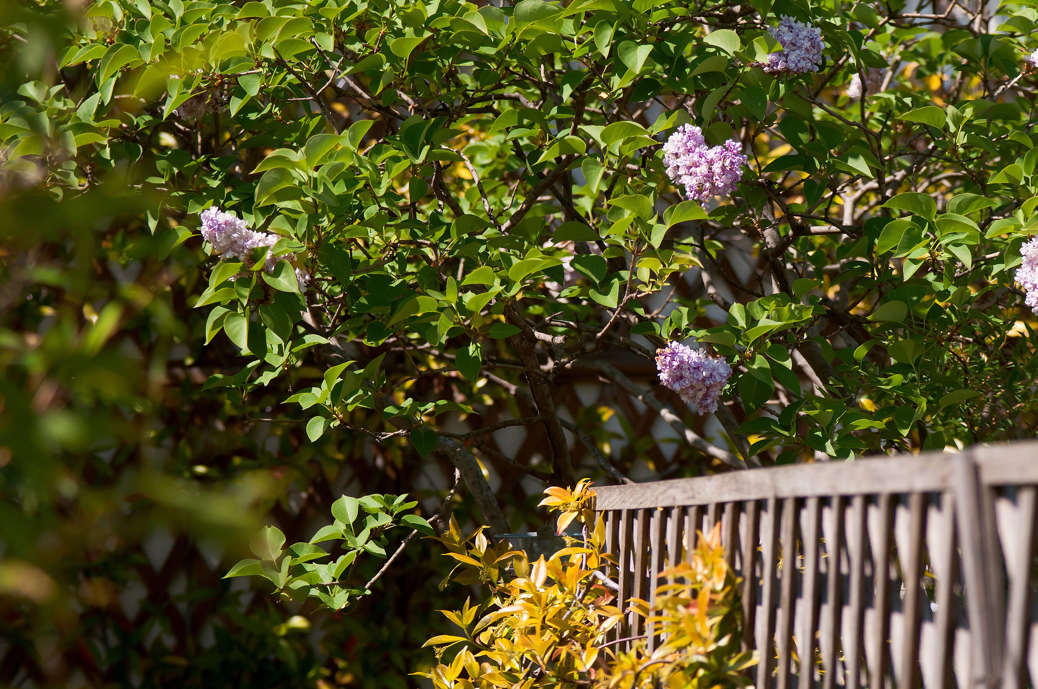 Paris-Jardin-appartement-luxe